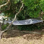 Rosmarino