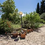 Rosmarino *