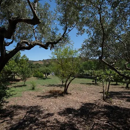 Rosmarino * Siniscola