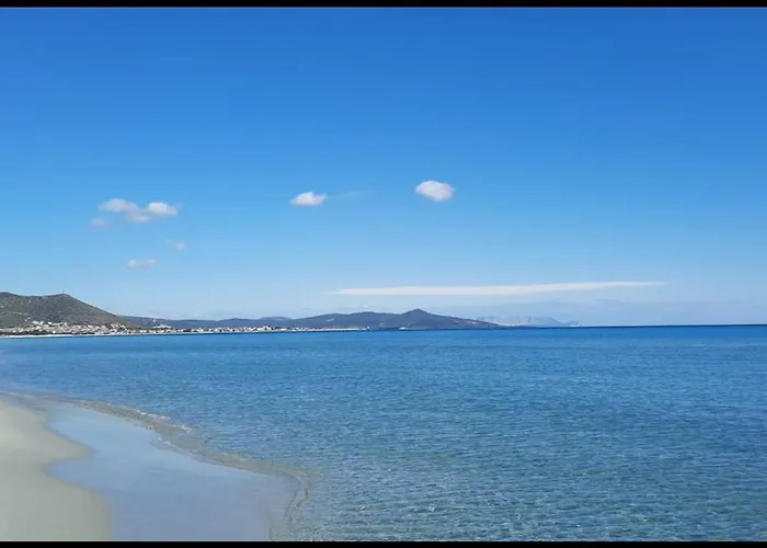 Rosmarino * Siniscola